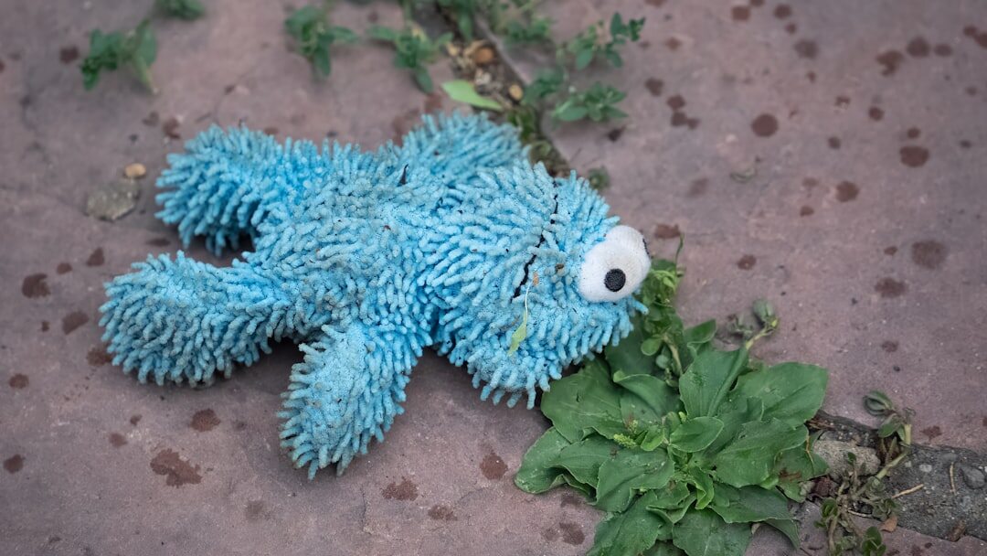 crime investigation scene